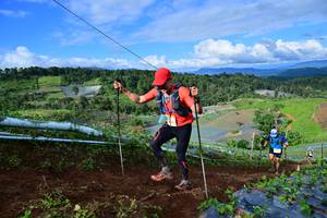 BIB: 
                            <button type="button" onclick="openModal(13382434)" class="btn btn-primary btn-sm float-right btn-popup" data-toggle="modal" data-target=".modal-high-quality">
                        <i class="fas fa-shopping-cart"></i> Add to Cart
                    </button>
                                            <button type="button" onclick="isThisMe(13382434, true)" class="btn btn-success btn-sm float-right btn-popup btn-isme hidden" data-toggle="tooltip" data-placement="bottom" title="นี่คือรูปของคุณใช่ไหม คลิกที่นี่เพื่อเอาเข้าอัลบั้ม">
                        <i class="fas fa-plus"></i> Add to album
                    </button>
                    <button type="button" onclick="isThisMe(13382434, false)" class="btn btn-warning btn-sm float-right btn-popup btn-isnotme hidden">
                        <i class="fas fa-ban"></i> Remove from album
                    </button>